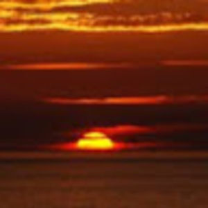 Meet your Posher, Piper